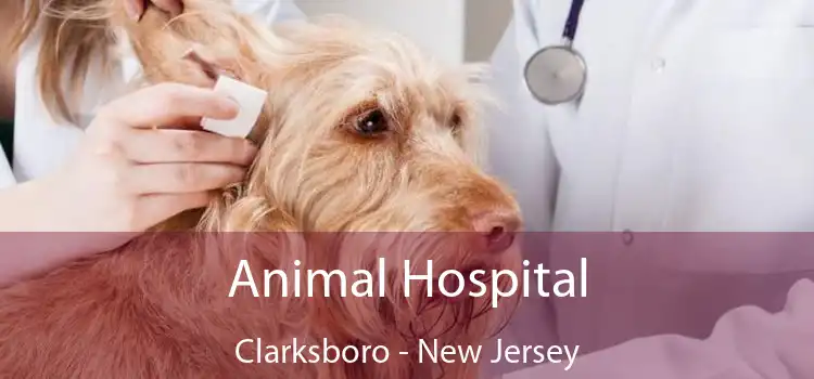 Animal Hospital Clarksboro - New Jersey