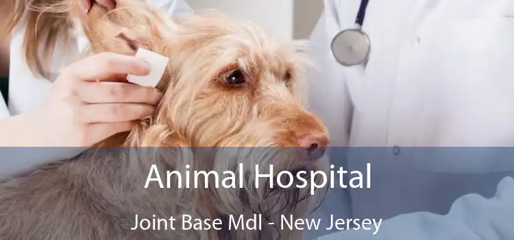 Animal Hospital Joint Base Mdl - New Jersey