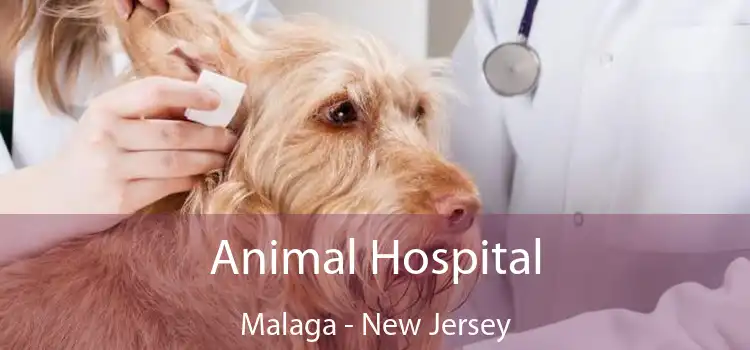 Animal Hospital Malaga - New Jersey