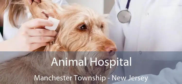 Animal Hospital Manchester Township - New Jersey