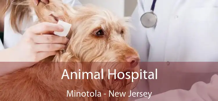 Animal Hospital Minotola - New Jersey