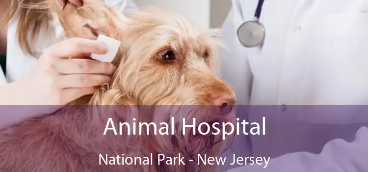 Animal Hospital National Park - New Jersey