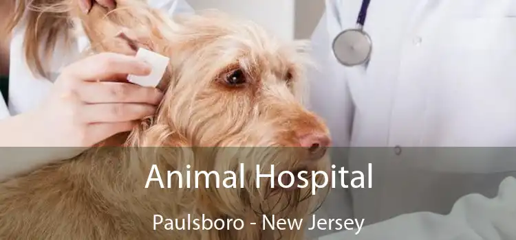 Animal Hospital Paulsboro - New Jersey