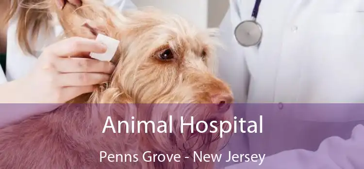 Animal Hospital Penns Grove - New Jersey