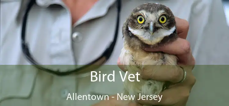 Bird Vet Allentown - New Jersey