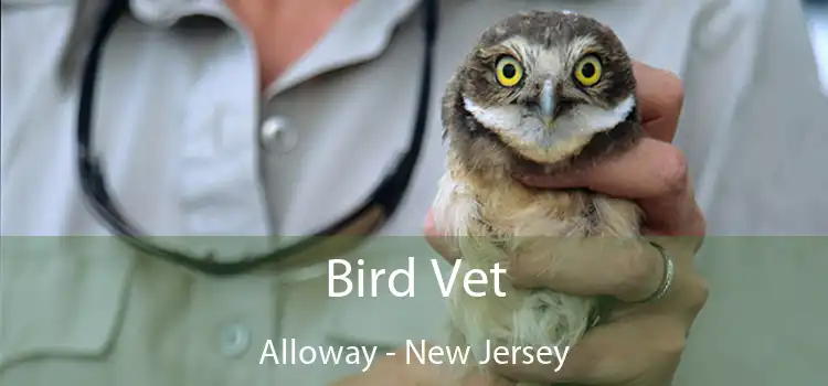 Bird Vet Alloway - New Jersey