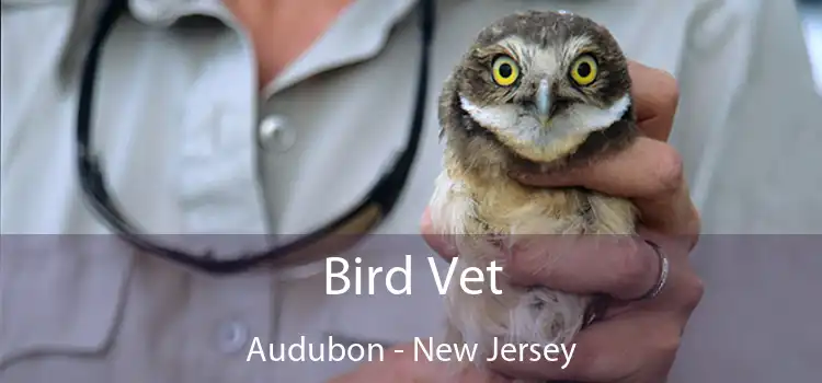 Bird Vet Audubon - New Jersey