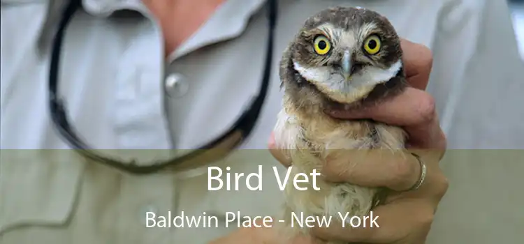 Bird Vet Baldwin Place - New York