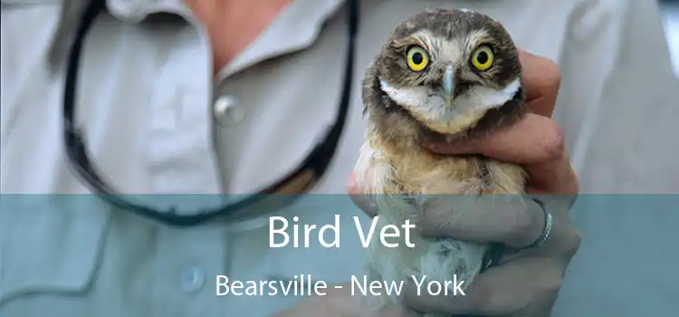 Bird Vet Bearsville - New York