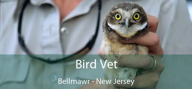 Bird Vet Bellmawr - New Jersey