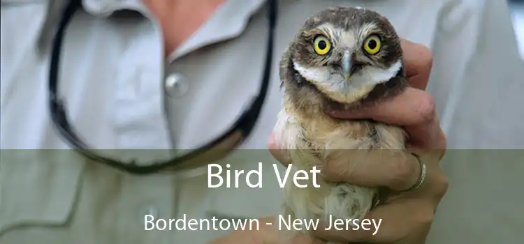 Bird Vet Bordentown - New Jersey