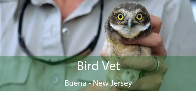 Bird Vet Buena - New Jersey