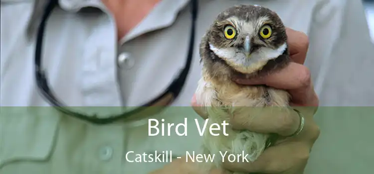 Bird Vet Catskill - New York