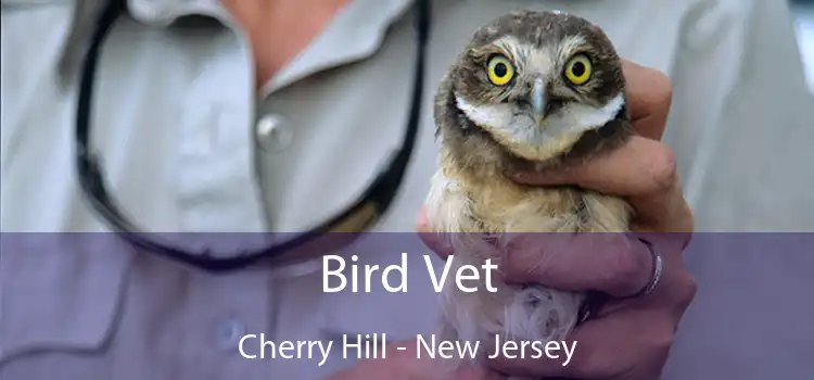 Bird Vet Cherry Hill - New Jersey