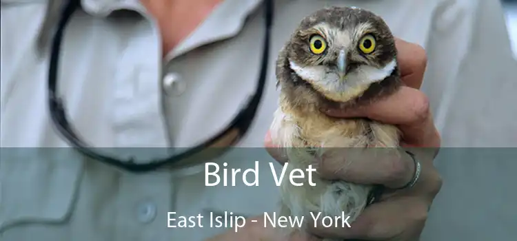 Bird Vet East Islip - New York