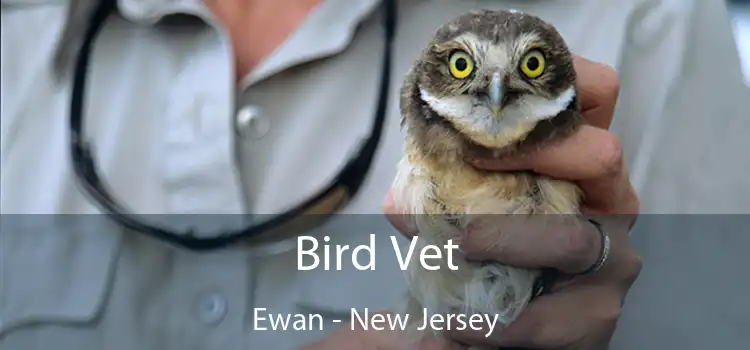 Bird Vet Ewan - New Jersey