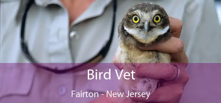 Bird Vet Fairton - New Jersey