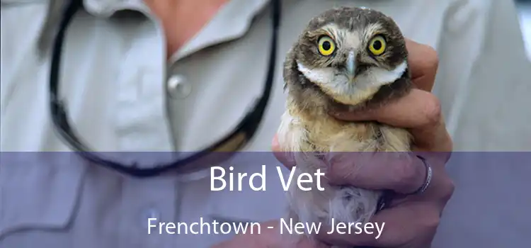 Bird Vet Frenchtown - New Jersey