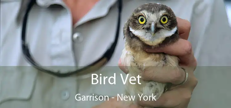 Bird Vet Garrison - New York