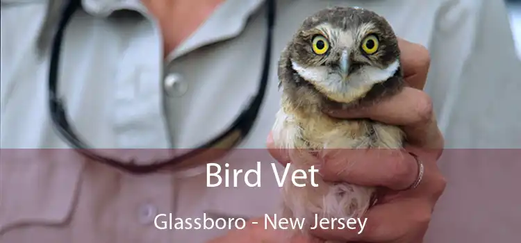 Bird Vet Glassboro - New Jersey