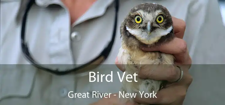 Bird Vet Great River - New York