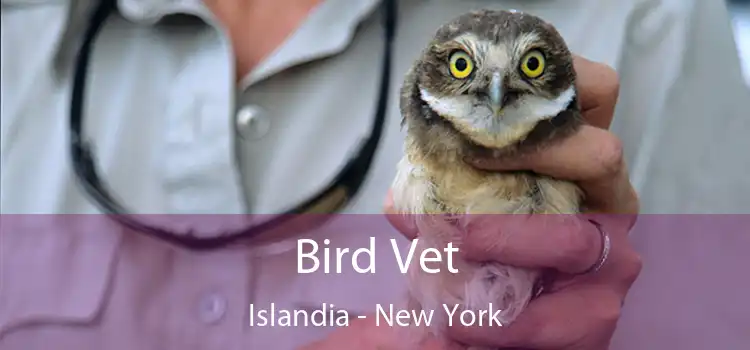 Bird Vet Islandia - New York