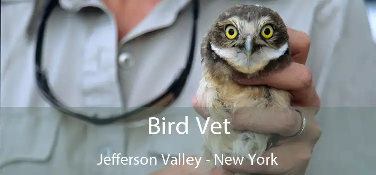 Bird Vet Jefferson Valley - New York