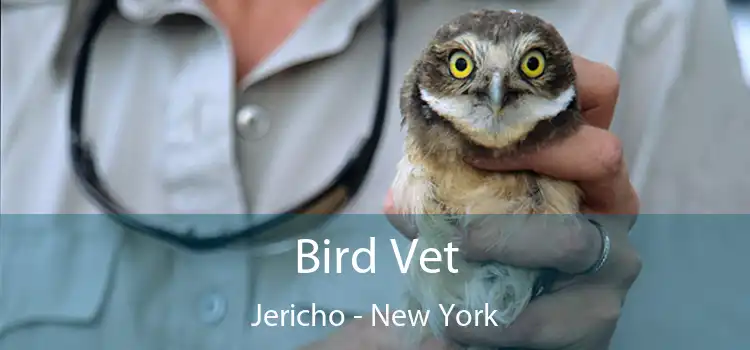 Bird Vet Jericho - New York