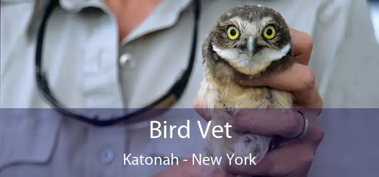 Bird Vet Katonah - New York