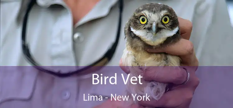 Bird Vet Lima - New York