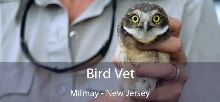 Bird Vet Milmay - New Jersey