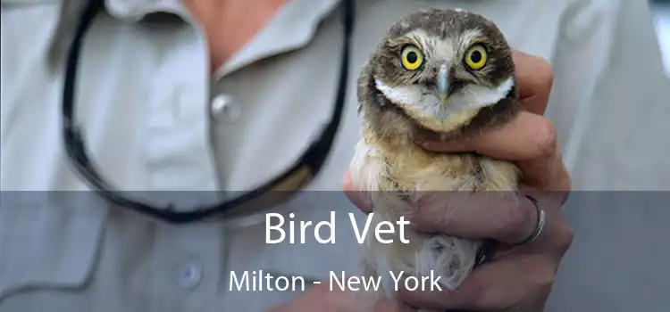 Bird Vet Milton - New York