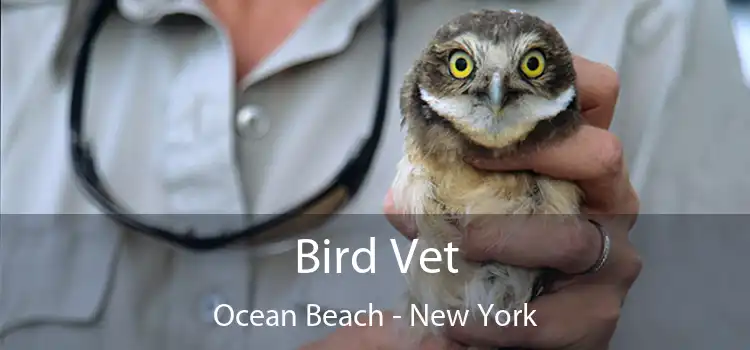 Bird Vet Ocean Beach - New York