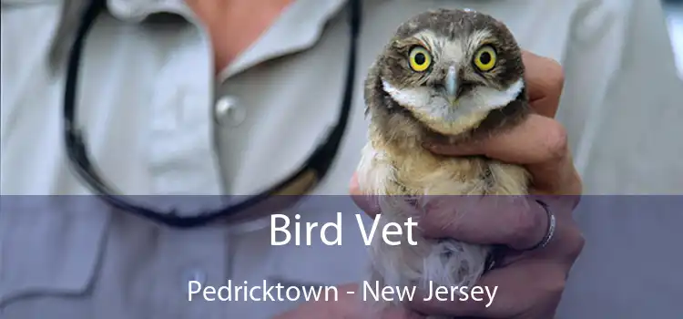 Bird Vet Pedricktown - New Jersey