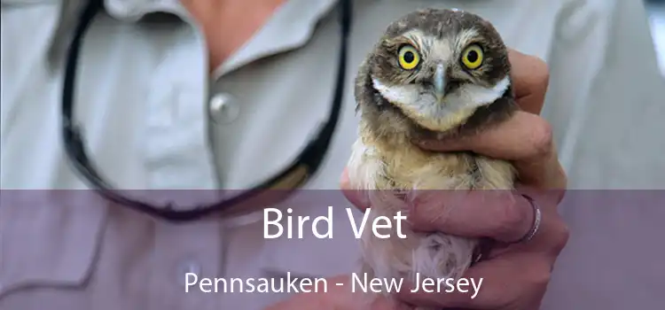 Bird Vet Pennsauken - New Jersey