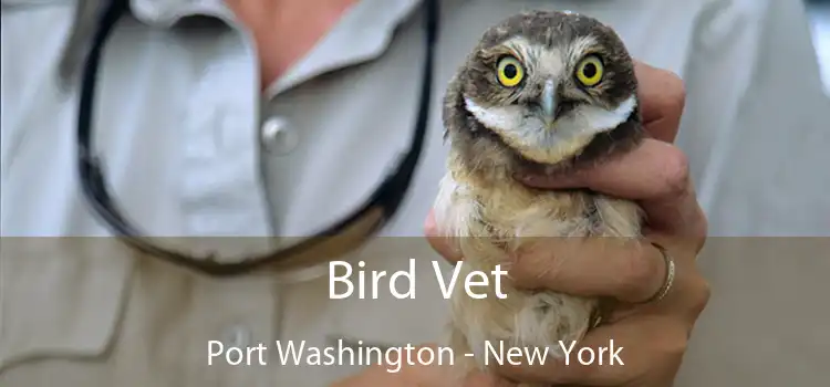 Bird Vet Port Washington - New York