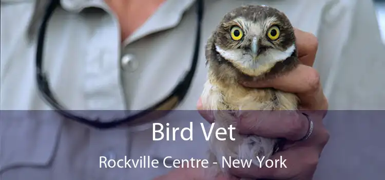 Bird Vet Rockville Centre - New York