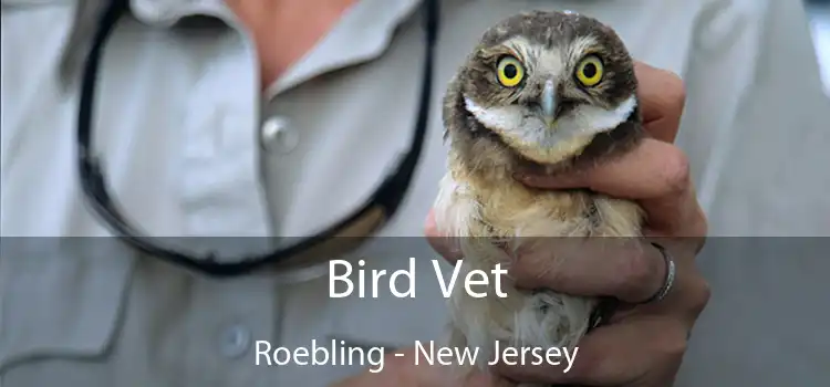 Bird Vet Roebling - New Jersey