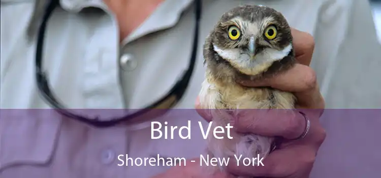 Bird Vet Shoreham - New York