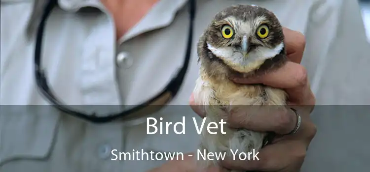 Bird Vet Smithtown - New York