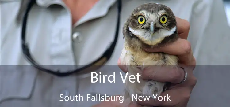 Bird Vet South Fallsburg - New York