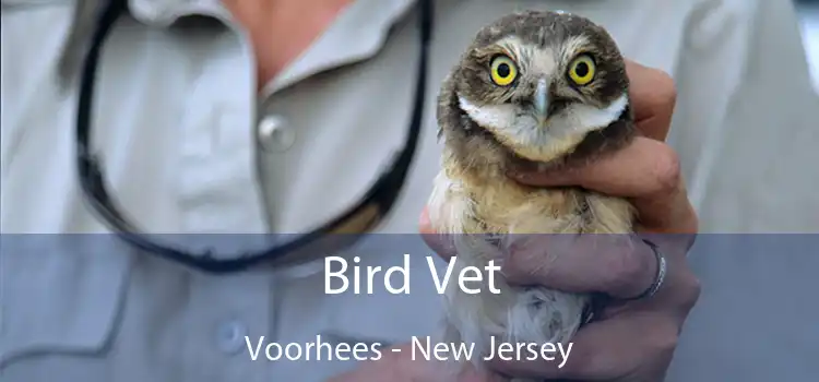 Bird Vet Voorhees - New Jersey