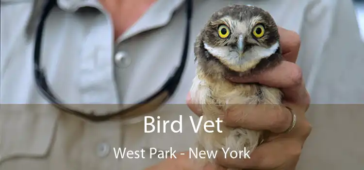 Bird Vet West Park - New York