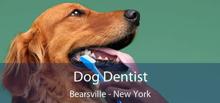 Dog Dentist Bearsville - New York