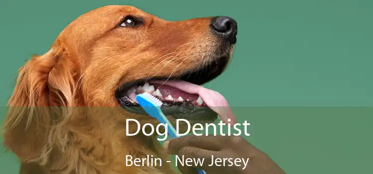 Dog Dentist Berlin - New Jersey