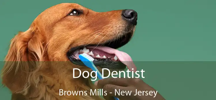 Dog Dentist Browns Mills - New Jersey