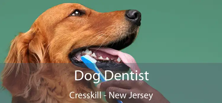 Dog Dentist Cresskill - New Jersey