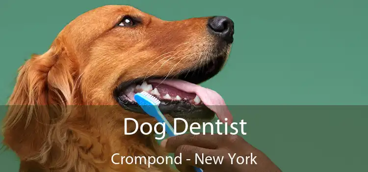 Dog Dentist Crompond - New York