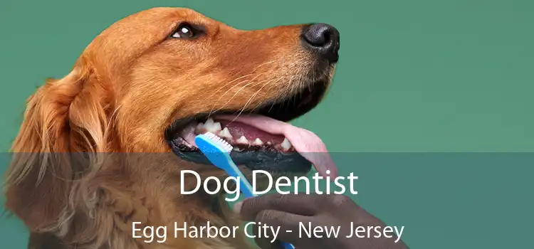 Dog Dentist Egg Harbor City - New Jersey