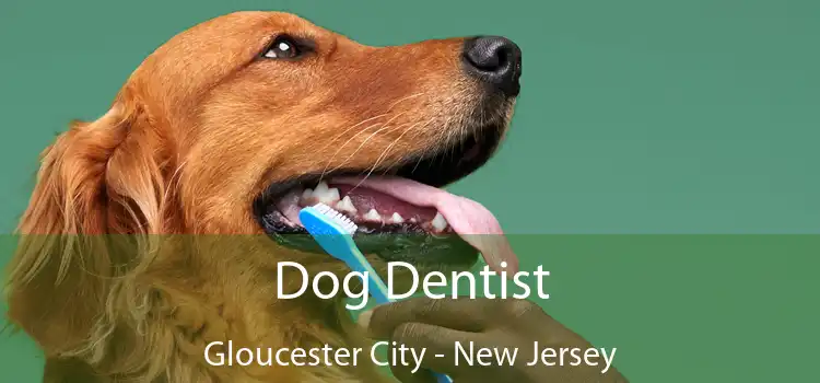 Dog Dentist Gloucester City - New Jersey